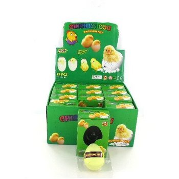 VAXANDI KLÚKKA Í EGGI (12 stk.)