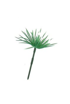 K&Ouml;KUSKREYTING - GRAS (144 stk.)