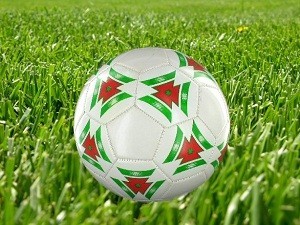 FOTBOLTI - MODEL 1 (6 stk.)