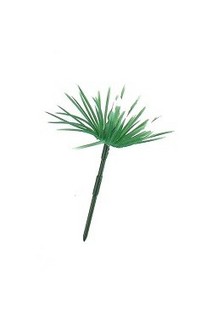 K&Ouml;KUSKREYTING - GRAS (144 stk.)