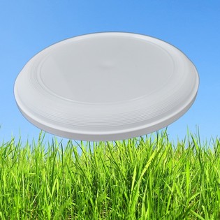 VENJULEGUR FRISB&Iacute;DISKUR 21 CM (25 stk.)
