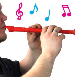 Litr&iacute;k blokkflauta (20 stk.)