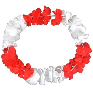 Hawaii-bl&oacute;makransar Rau&eth;ir/Hv&iacute;tir (50 stk.)