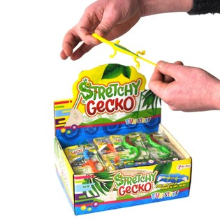 Teygjanlegt Eðla í Sýningarkassa (36 stk.)