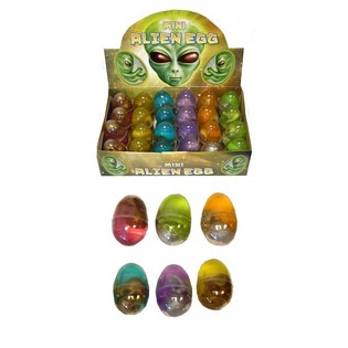 Sl&iacute;m geimveru-egg &iacute; s&yacute;ningarkassa (24 stk.)