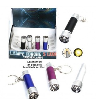 5 LED Vasalj&oacute;s me&eth; Lyklakippu &iacute; S&yacute;ningarkassa (24 stk.)